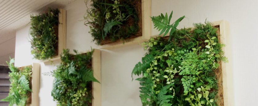 人工観葉植物　壁面緑化　グリーン