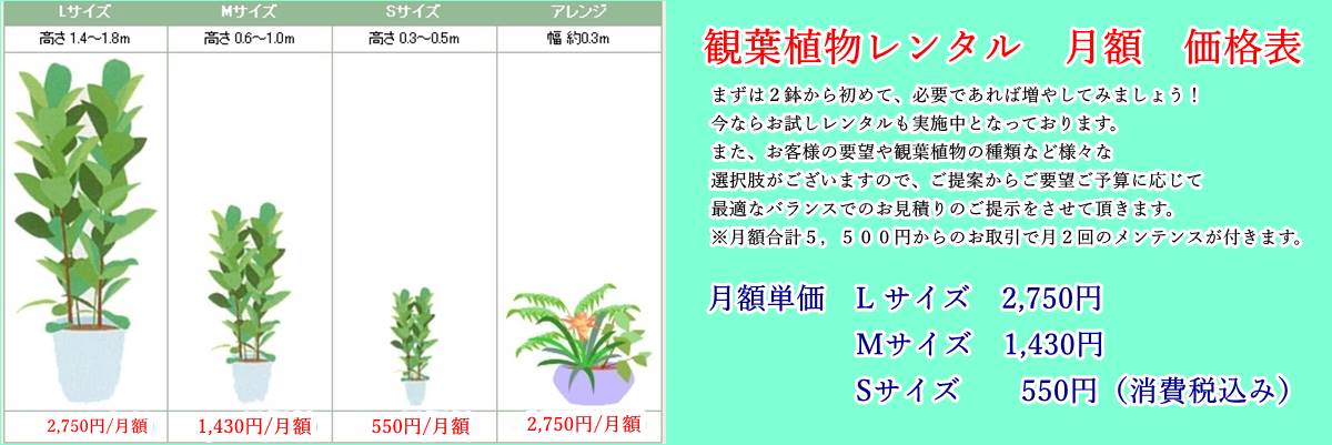 観葉植物レンタル価格表 観葉植物レンタルとグリーンレンタルのヴェルジェ